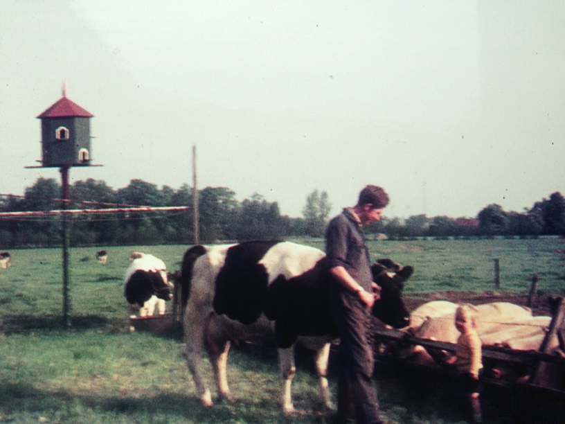 Pa op Boerderij